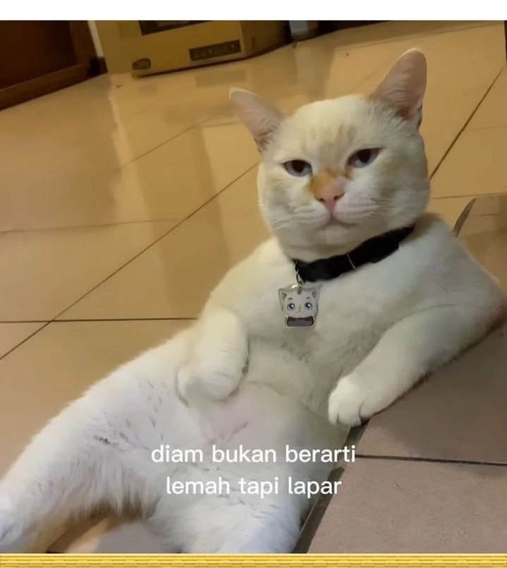 Star Ginseng Store Chapter 77 Gambar 60