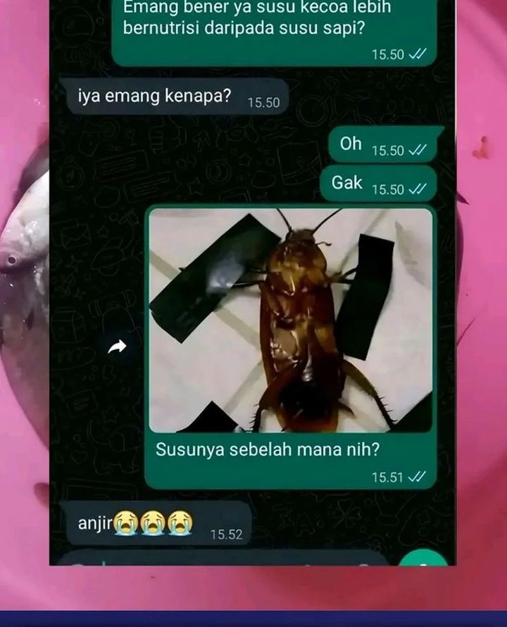 Star Ginseng Store Chapter 110 Gambar 64