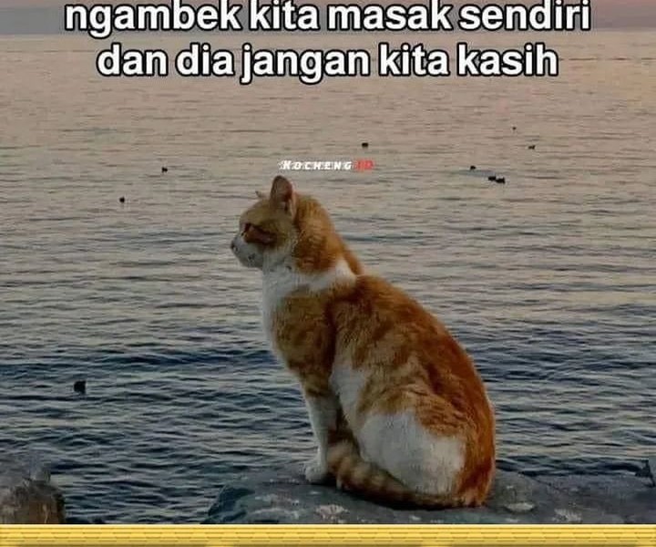 Star Ginseng Store Chapter 129 Gambar 72