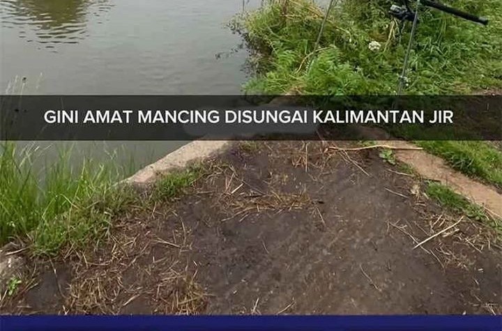 Star Ginseng Store Chapter 130 Gambar 66