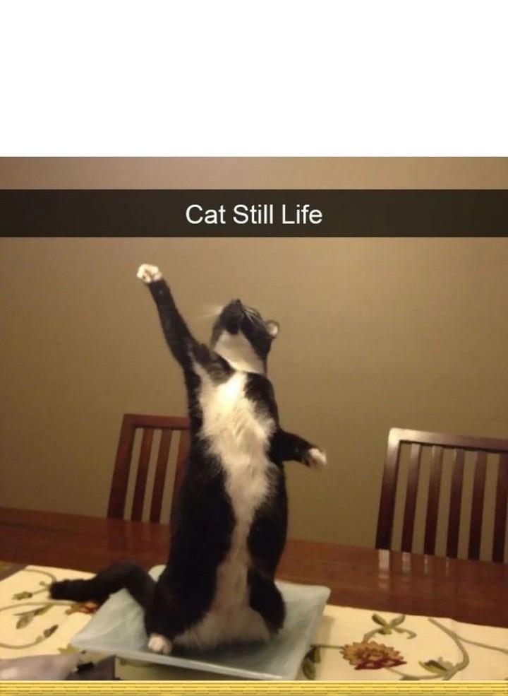 Star Ginseng Store Chapter 146 Gambar 60