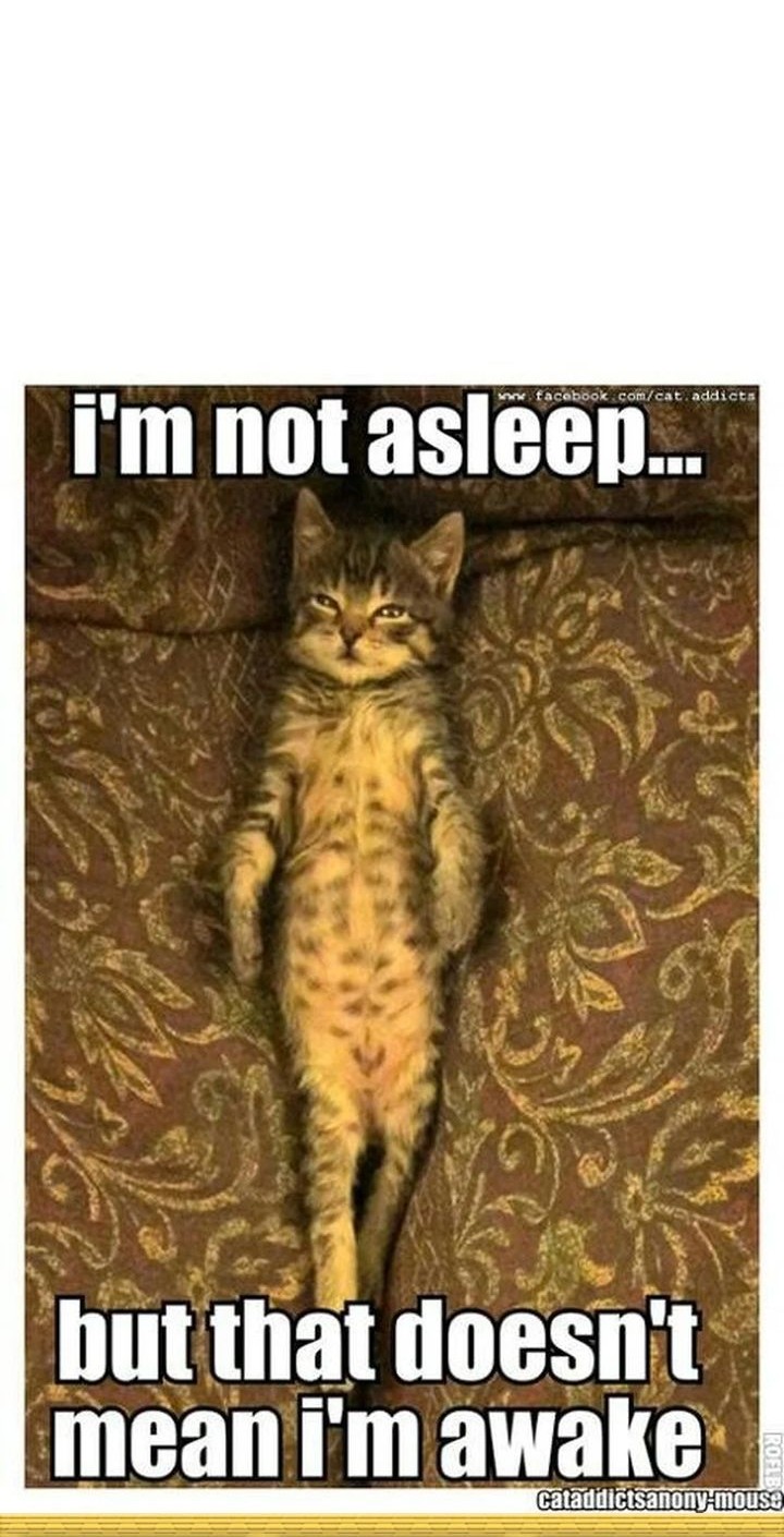 Star Ginseng Store Chapter 151 Gambar 80