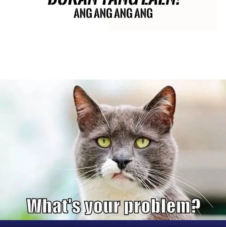 Star Ginseng Store Chapter 157 Gambar 80