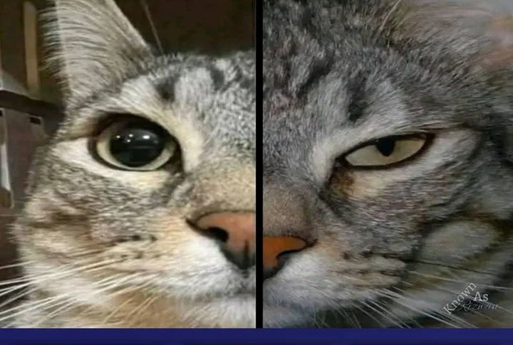 Supreme Curse Master Chapter 12 Gambar 48