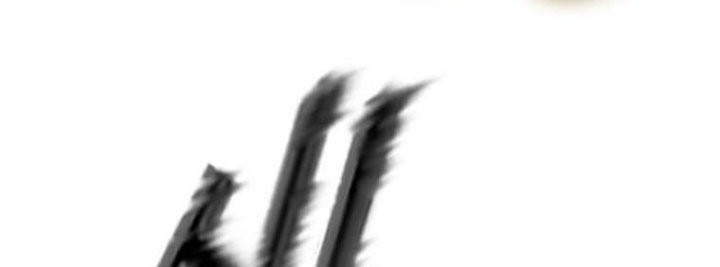 Shark Chapter 360 Gambar 13