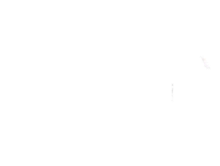 Shark Chapter 365 Gambar 7