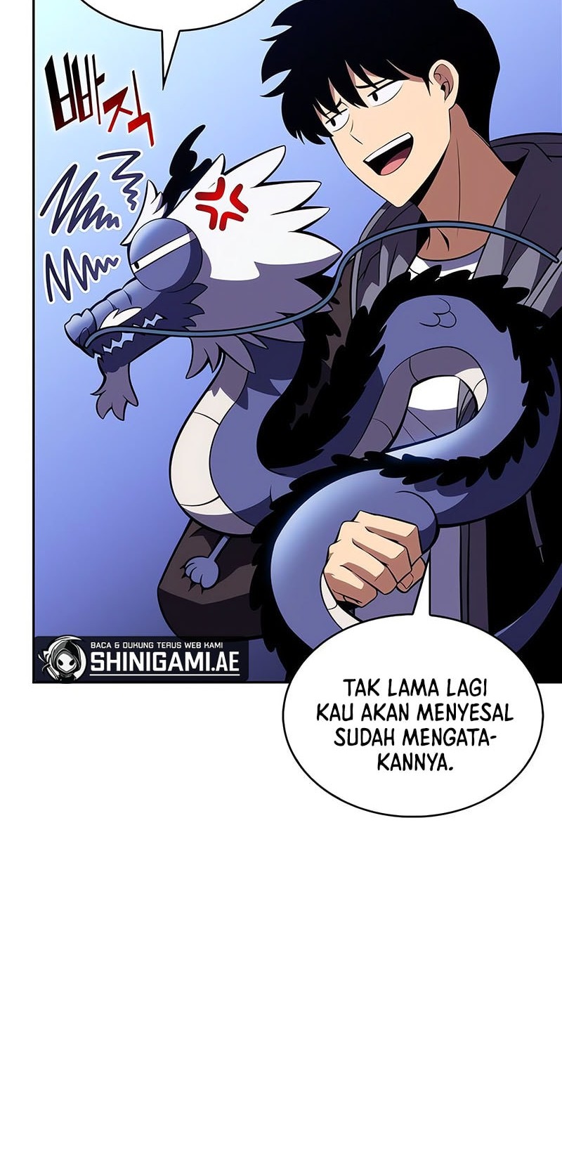 Solo Max-Level Newbie Chapter 206 Gambar 42