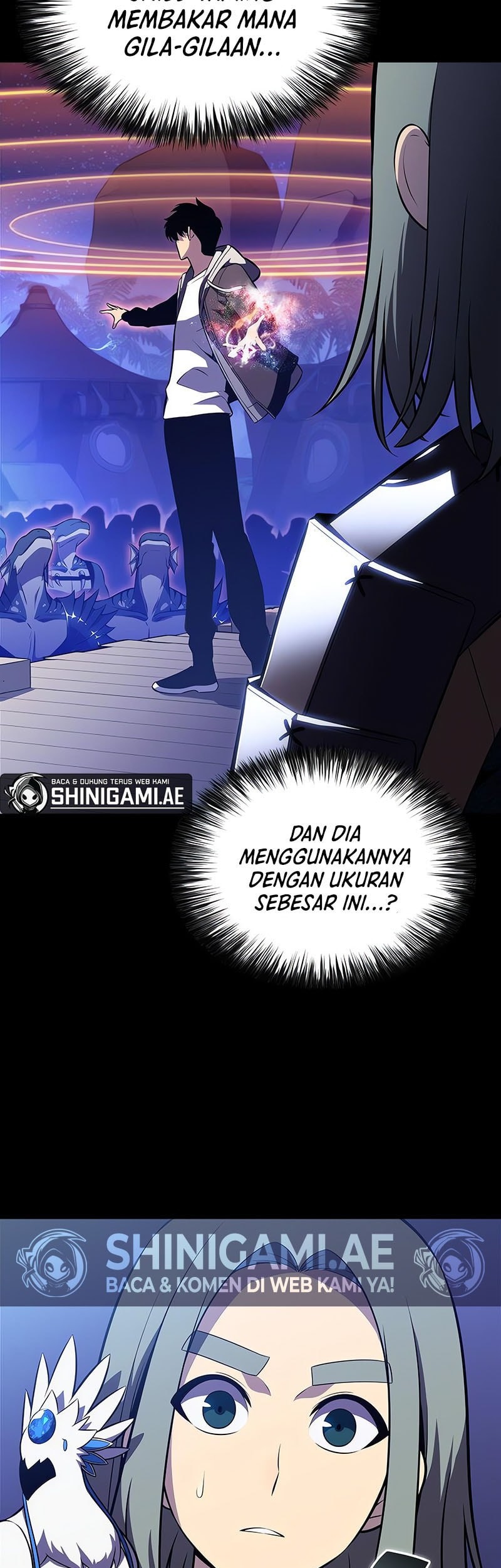 Solo Max-Level Newbie Chapter 207 Gambar 16