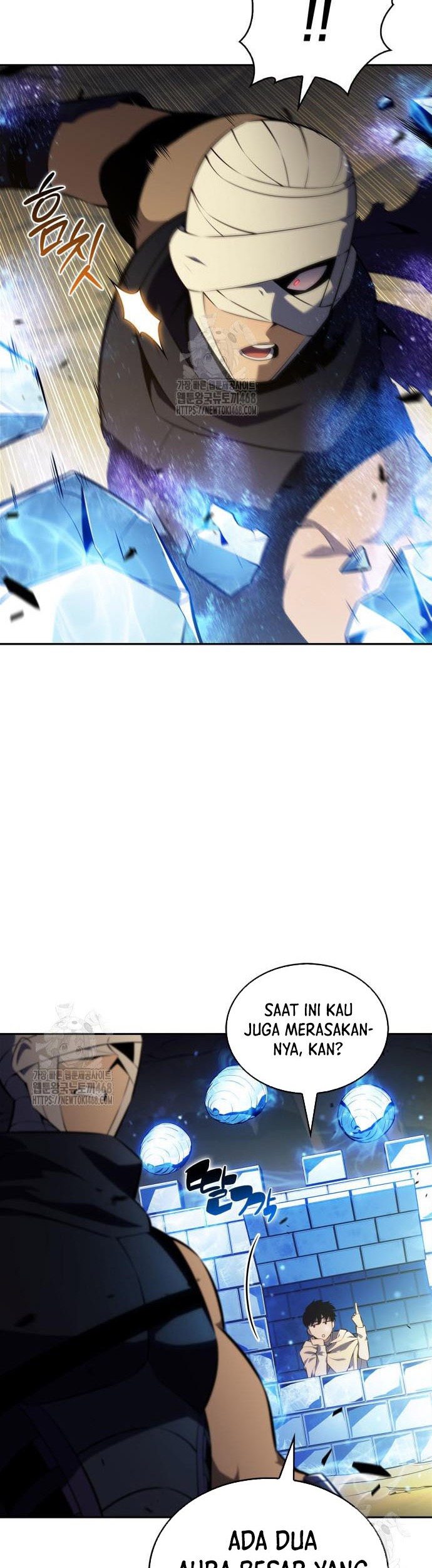 Manhwa Solo Max-Level Newbie Chapter 222 gambar nomor 2