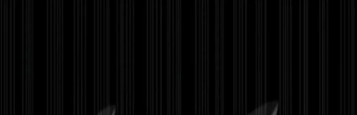 The Wandering Knight's Survival Manual Chapter 1 Gambar 66