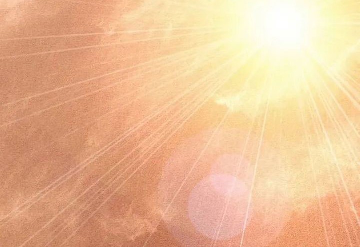 The World’s Best Sect of Dependency Chapter 78 Gambar 61