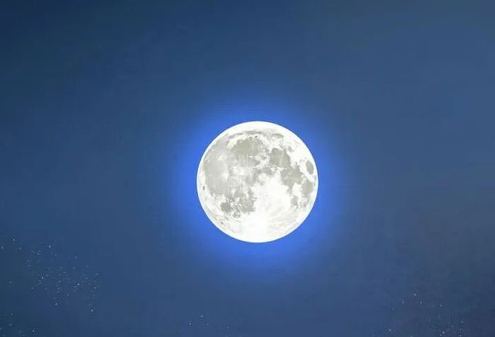 The World’s Best Sect of Dependency Chapter 80 Gambar 21