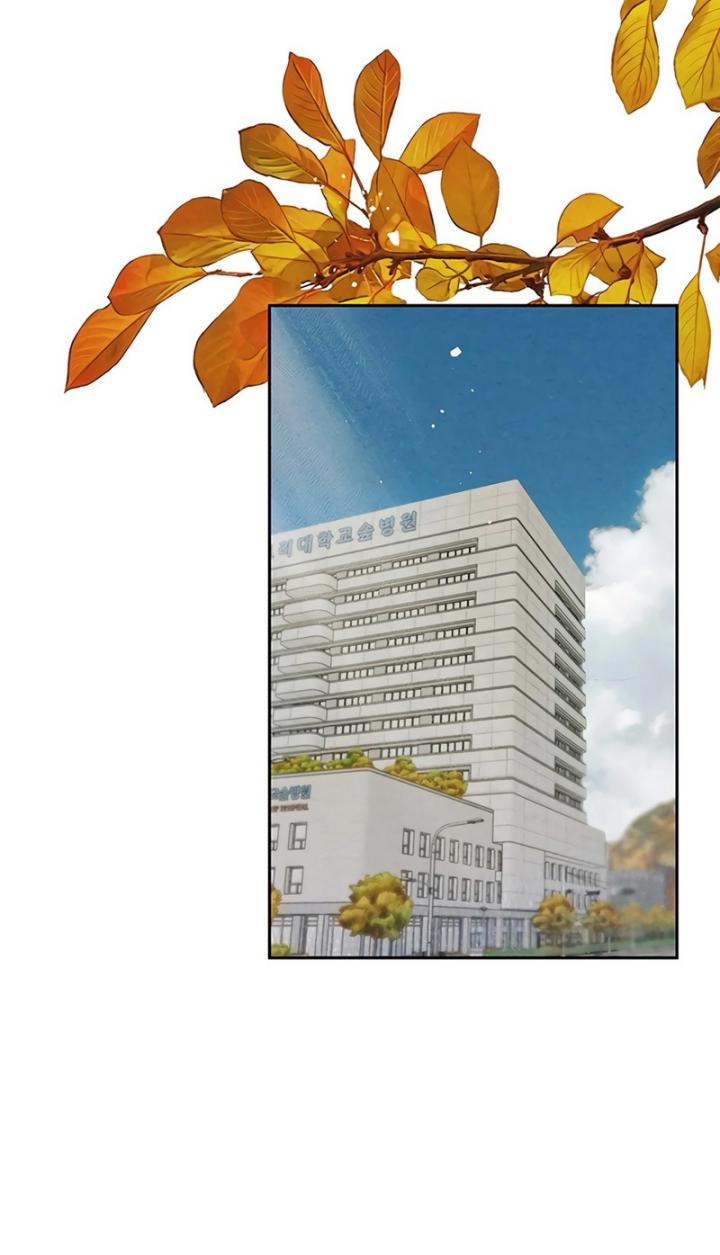 The Black-Haired British Doctor Chapter 1 Gambar 14