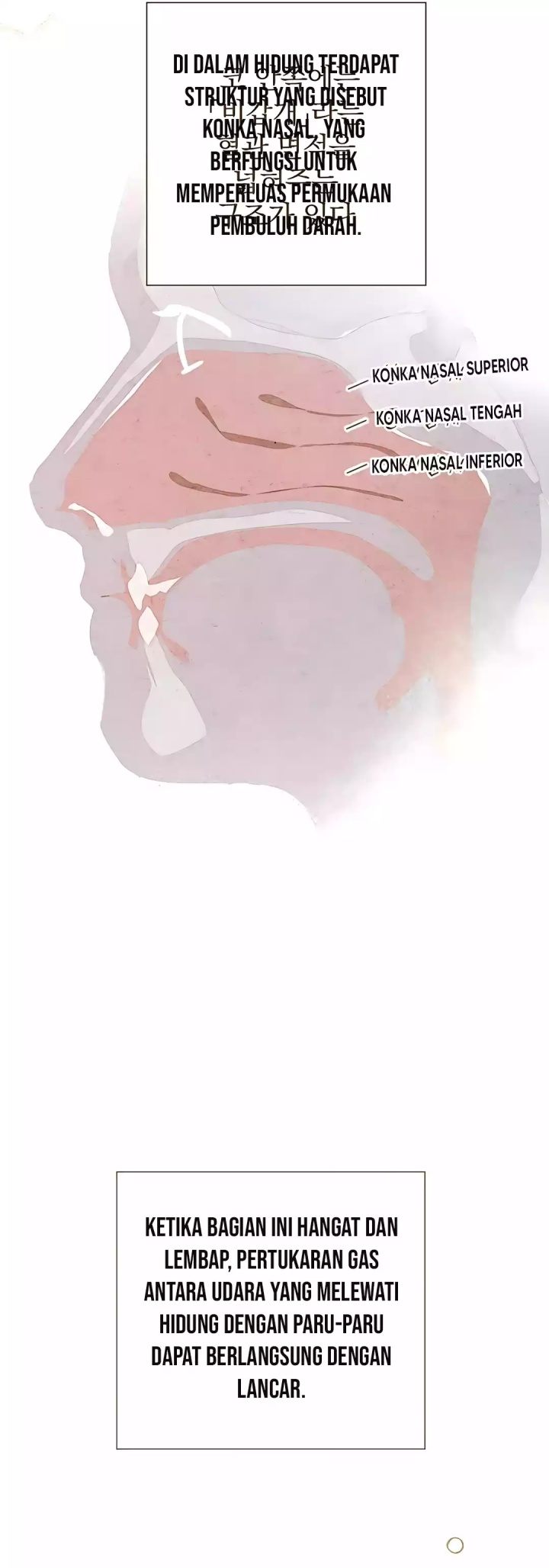 The Black-Haired British Doctor Chapter 27 Gambar 18