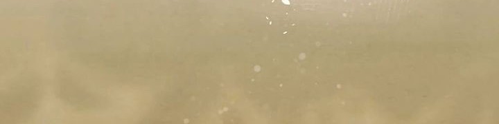 The Black-Haired British Doctor Chapter 8 Gambar 50