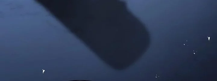 The Crown Prince That Sells Medicine Chapter 77 Gambar 110