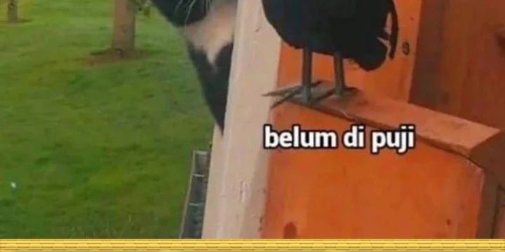 The Delusional Hunter in Another World Chapter 41 Gambar 85