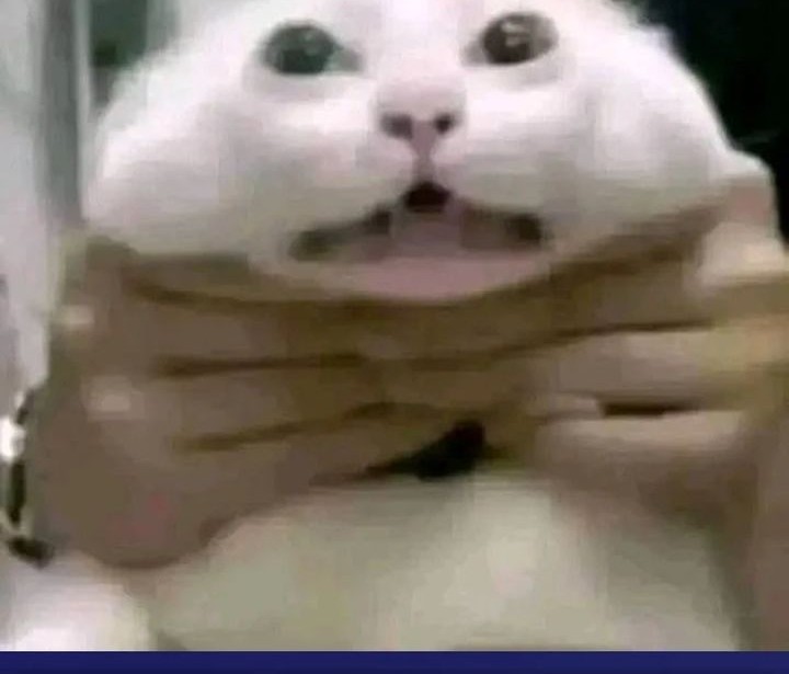 The Eldest Son of the Marquis House is a Martial Artist Chapter 11 Gambar 72