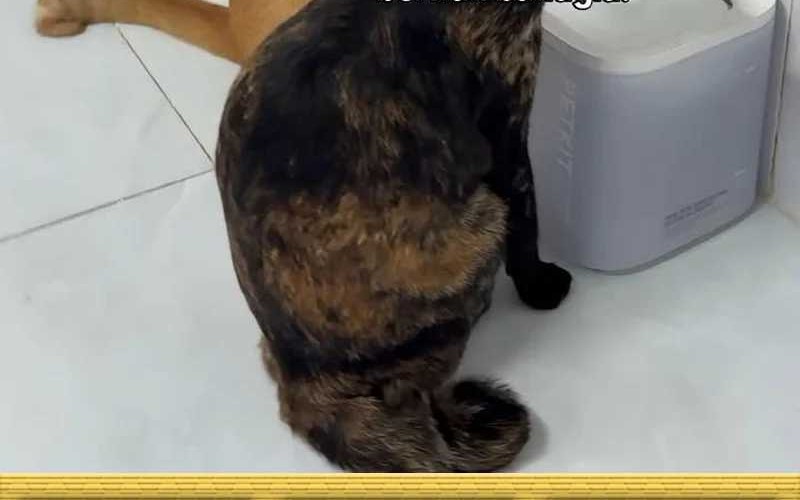 The Evil Alchemist Can’t Handle His Own Experiment Chapter 29 Gambar 67