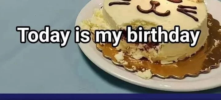 The Evil Alchemist Can’t Handle His Own Experiment Chapter 59 Gambar 53