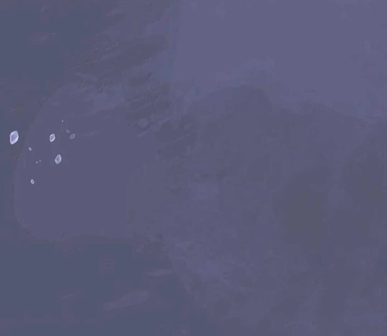 The Extra Decided to be Fake Chapter 11 Gambar 159