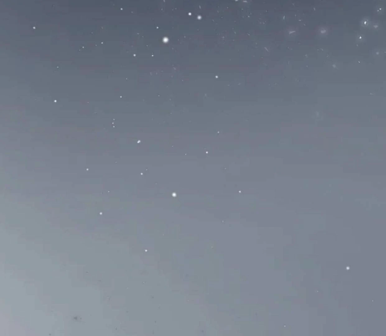 The Extra Decided to be Fake Chapter 13 Gambar 174