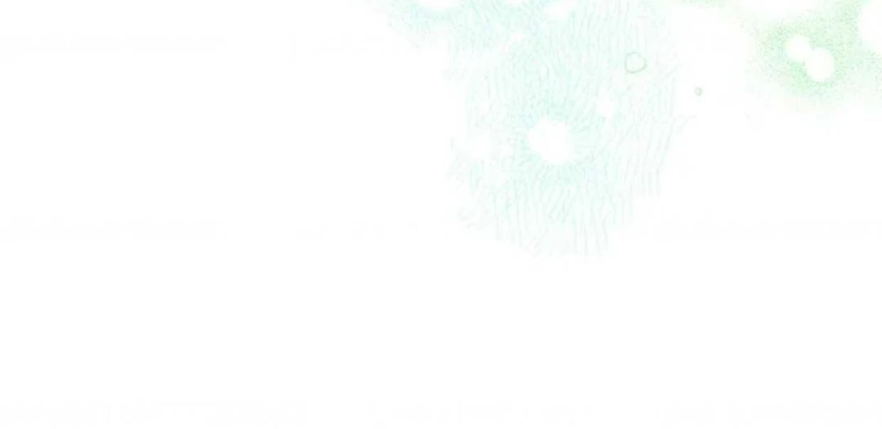 The Extra Decided to be Fake Chapter 15 Gambar 243