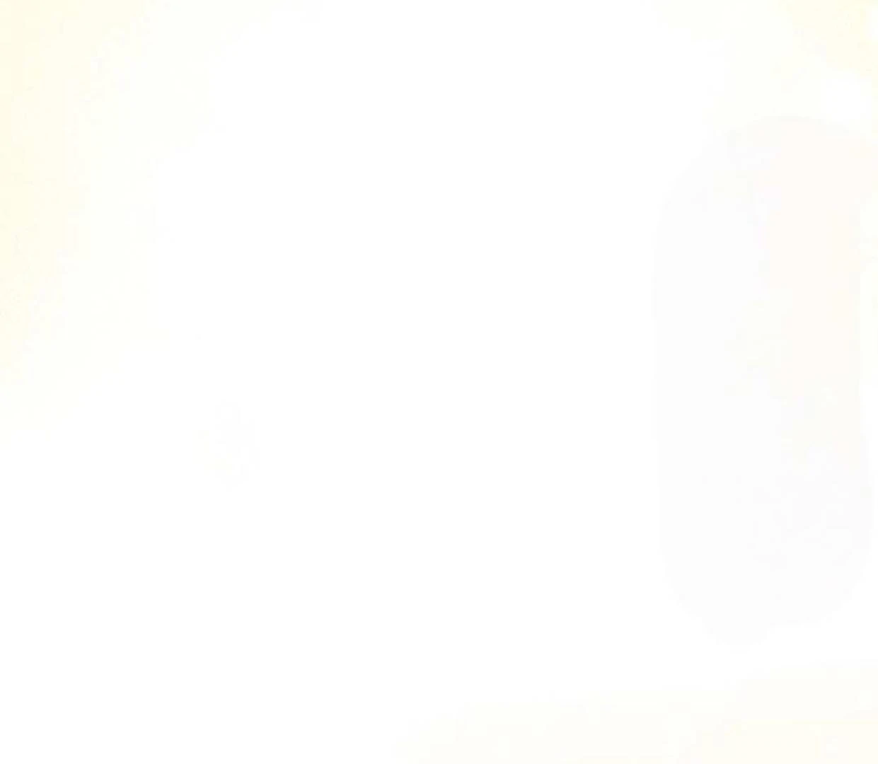 The Extra Decided to be Fake Chapter 17 Gambar 196