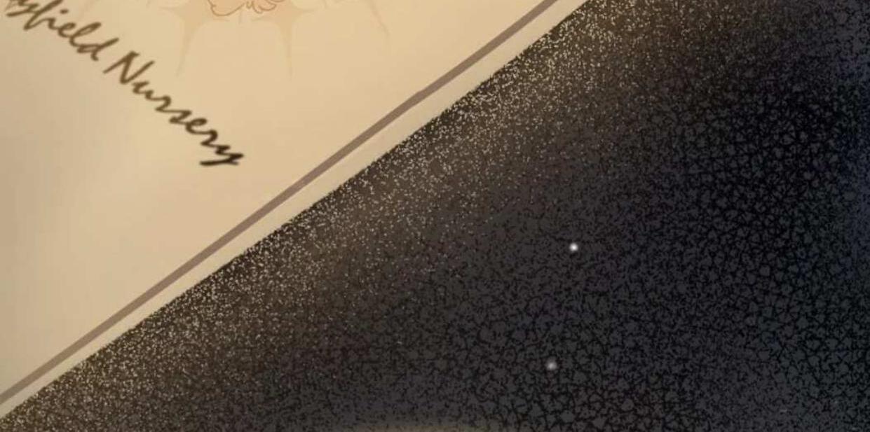 The Extra Decided to be Fake Chapter 2 Gambar 177