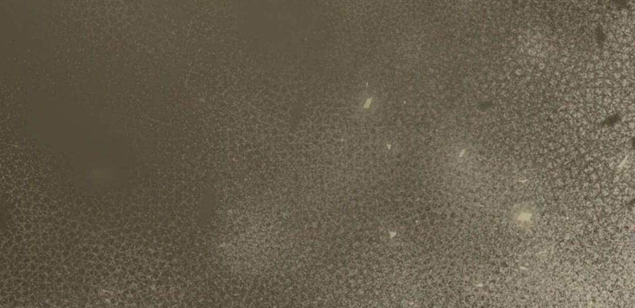 The Extra Decided to be Fake Chapter 22 Gambar 219