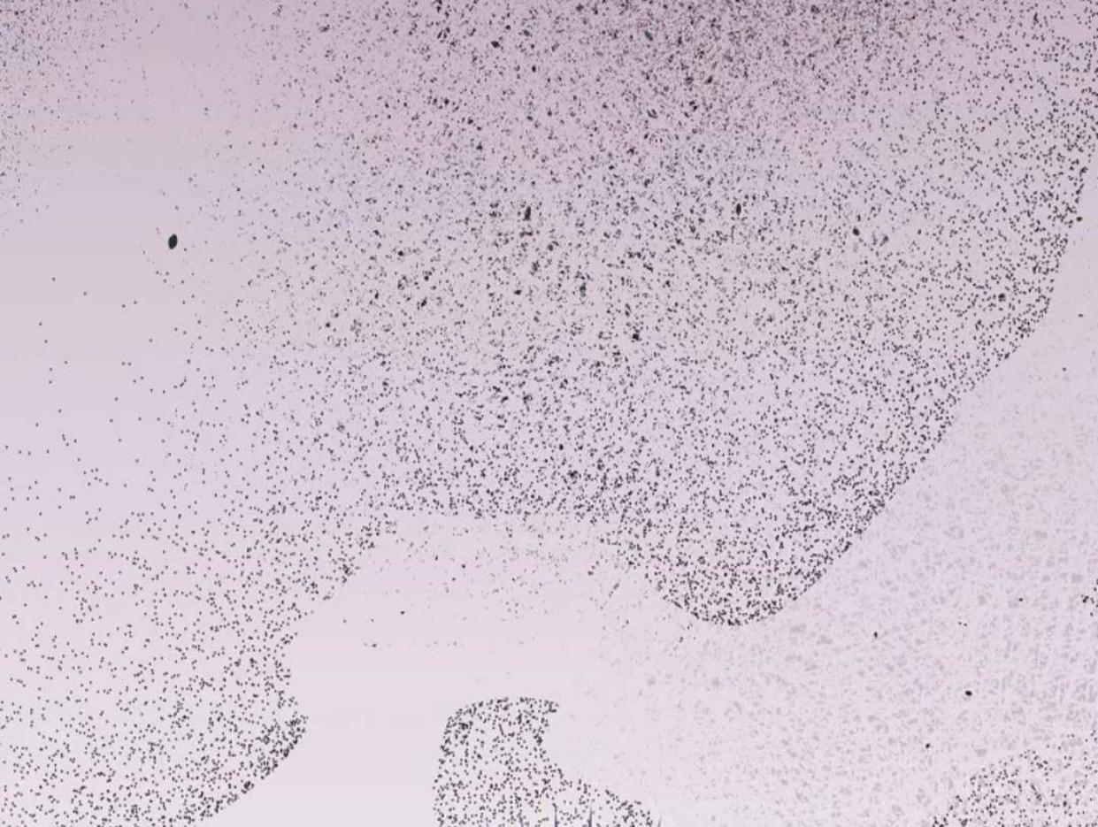 The Extra Decided to be Fake Chapter 23 Gambar 143