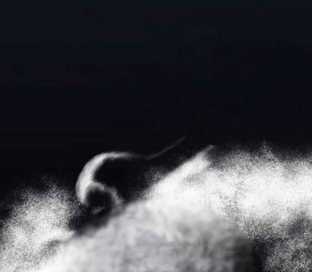 The Extra Decided to be Fake Chapter 29 Gambar 217