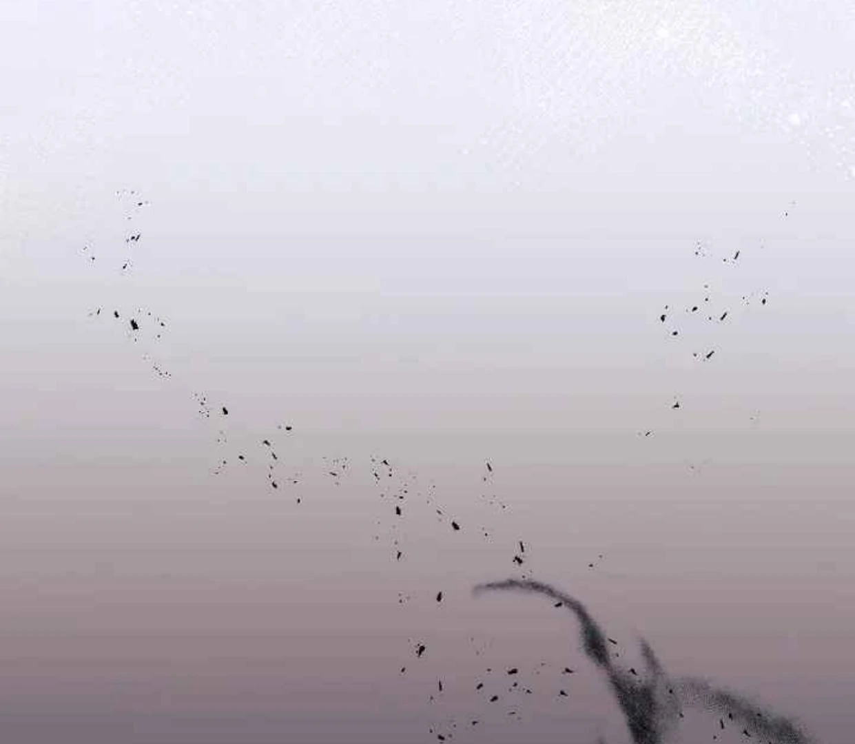 The Extra Decided to be Fake Chapter 35 Gambar 196