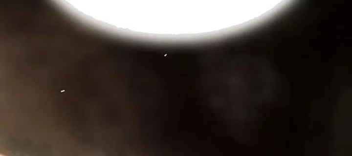 The Genius Who Sees Through the World Chapter 39 Gambar 84