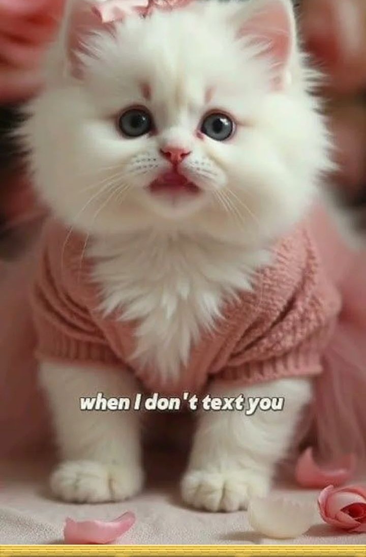 The Heavenly Path Is Not Stupid Chapter 101 Gambar 58