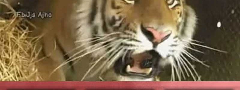 The Heavenly Path Is Not Stupid Chapter 115 Gambar 52