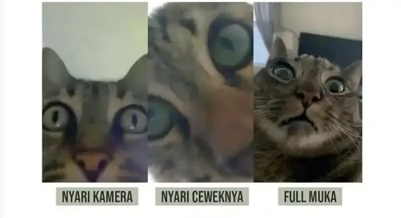 The Heavenly Path Is Not Stupid Chapter 126 Gambar 41