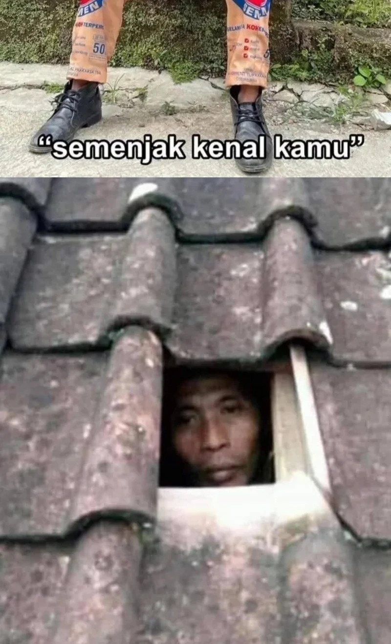 The Heavenly Path Is Not Stupid Chapter 155 Gambar 59