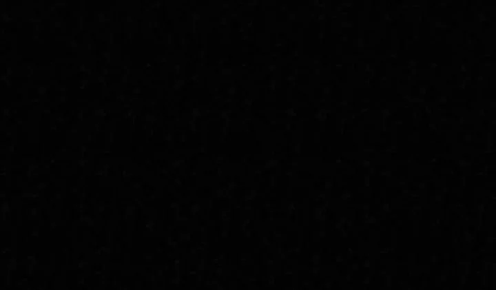 The Legend of Black Fox Master of Mount Kunlun’s Sword Chapter 47 Gambar 12