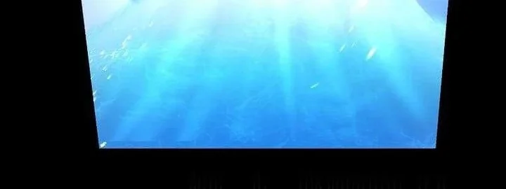 The Sweet Life of a Reincarnation Pro Chapter 79 Gambar 21