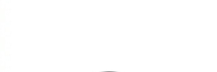 The Support Ate it All Chapter 9 Gambar 21