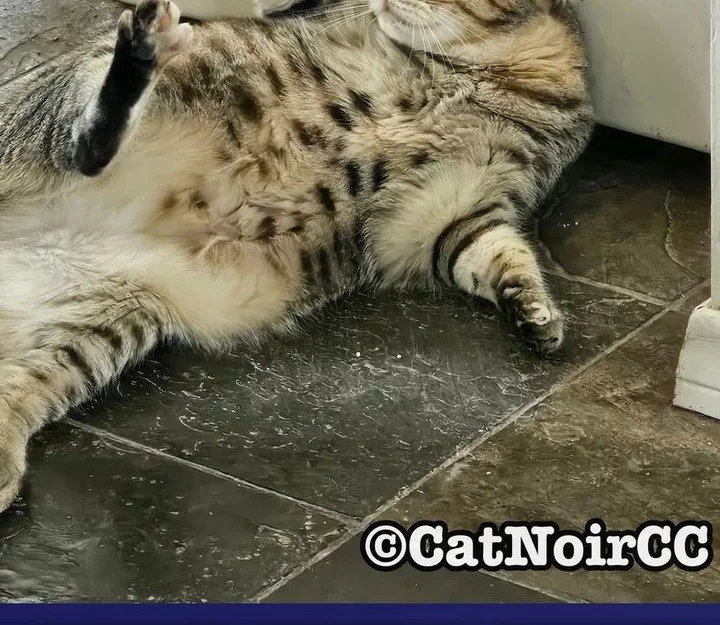 Vallhala Saga Chapter 51 Gambar 88