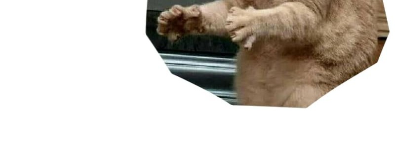 Versatile Sword Cultivator Chapter 16 Gambar 49