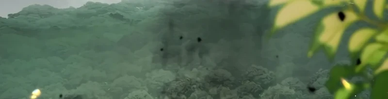 Villainess Streamer Chapter 32 Gambar 64