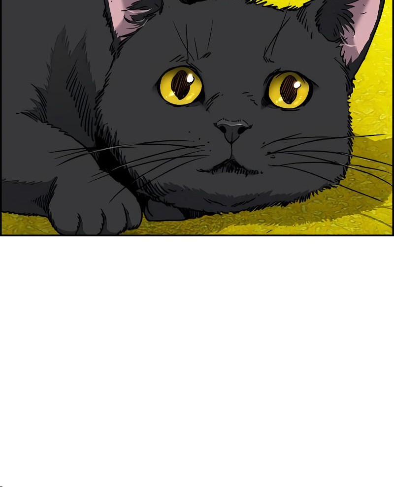 Wind Breaker Chapter 522 Gambar 26