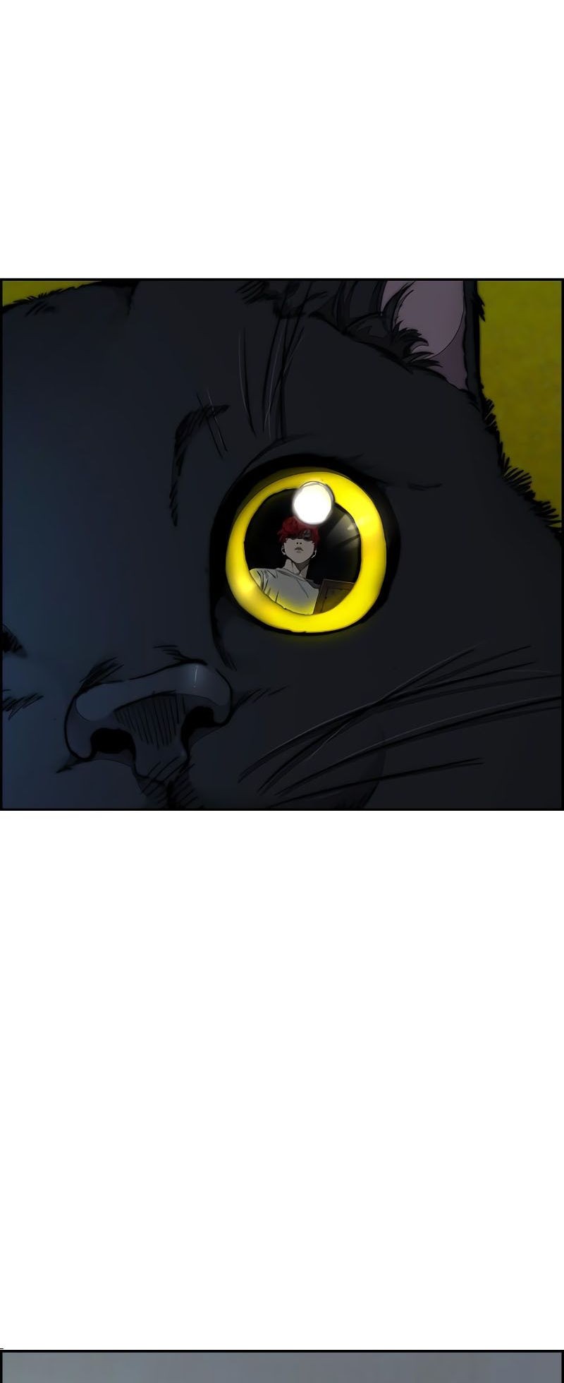 Wind Breaker Chapter 524 Gambar 34