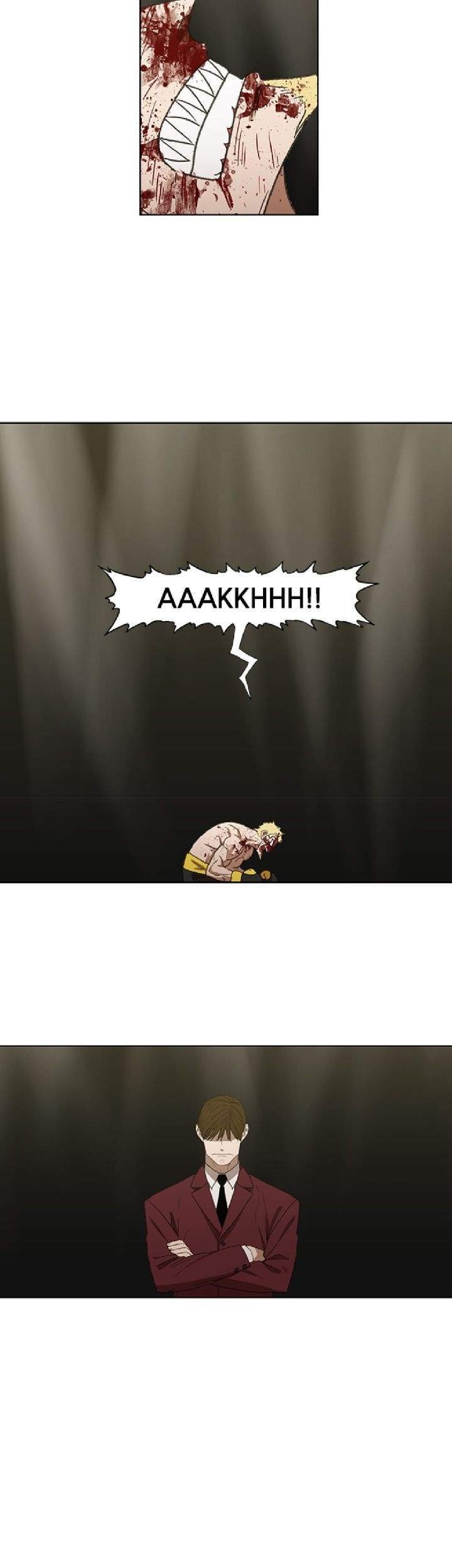 The Boxer Chapter 66 Gambar 53