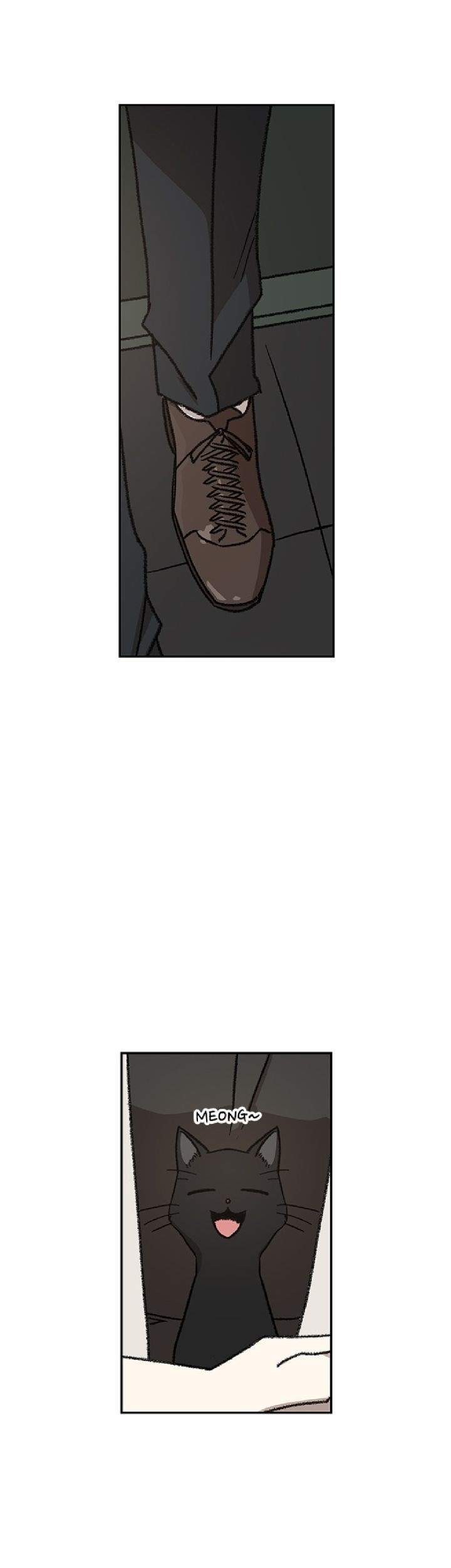 The Boxer Chapter 56 Gambar 22