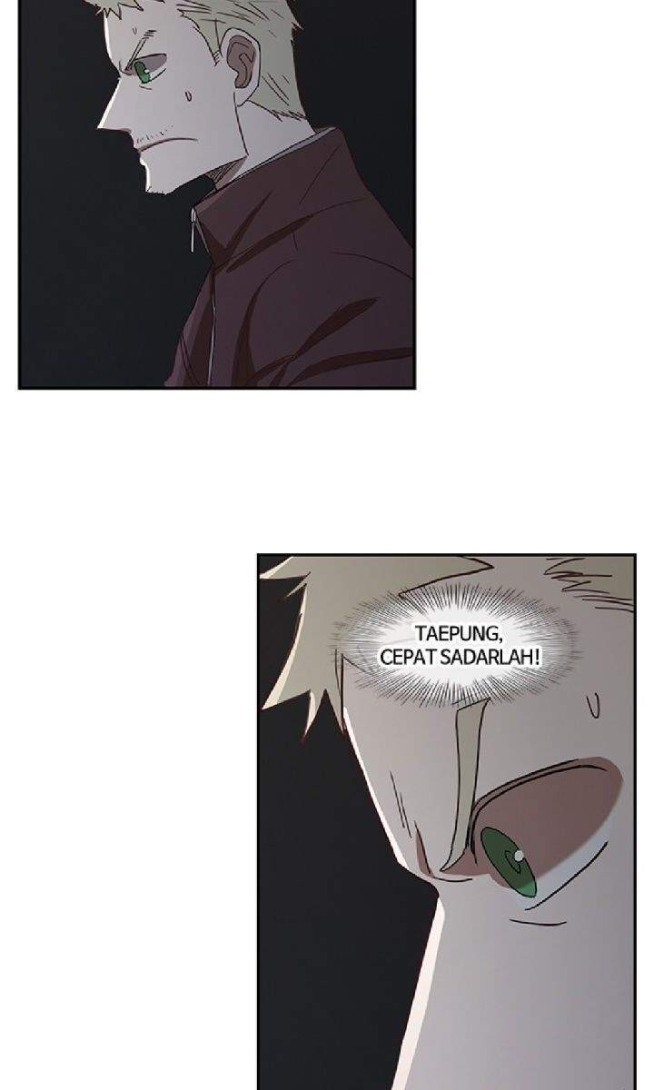 The Boxer Chapter 36 Gambar 11