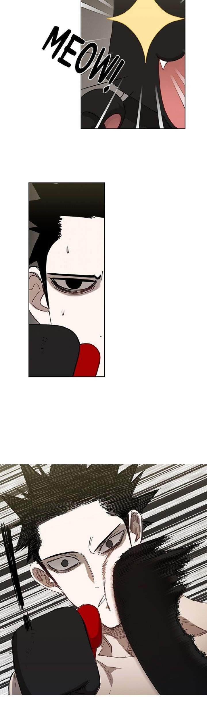 The Boxer Chapter 24 Gambar 5